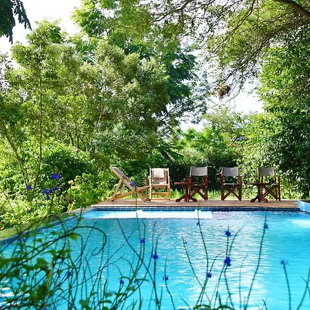 Tanzanice Farm Lodge Karatu Zewnętrze zdjęcie