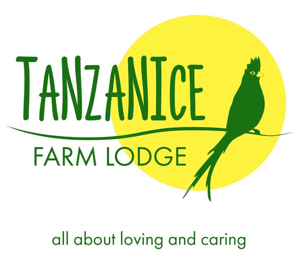 Tanzanice Farm Lodge Karatu Zewnętrze zdjęcie