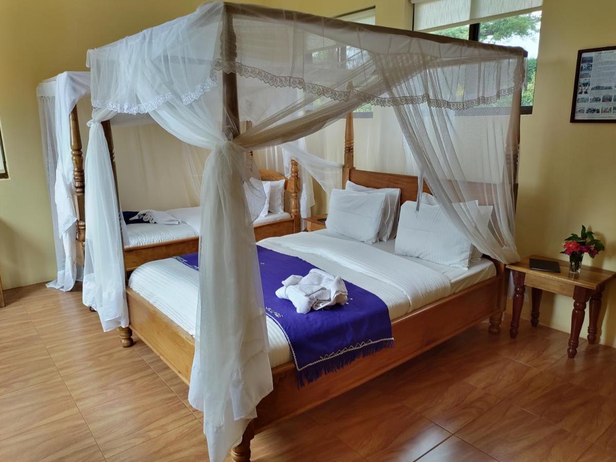 Tanzanice Farm Lodge Karatu Zewnętrze zdjęcie
