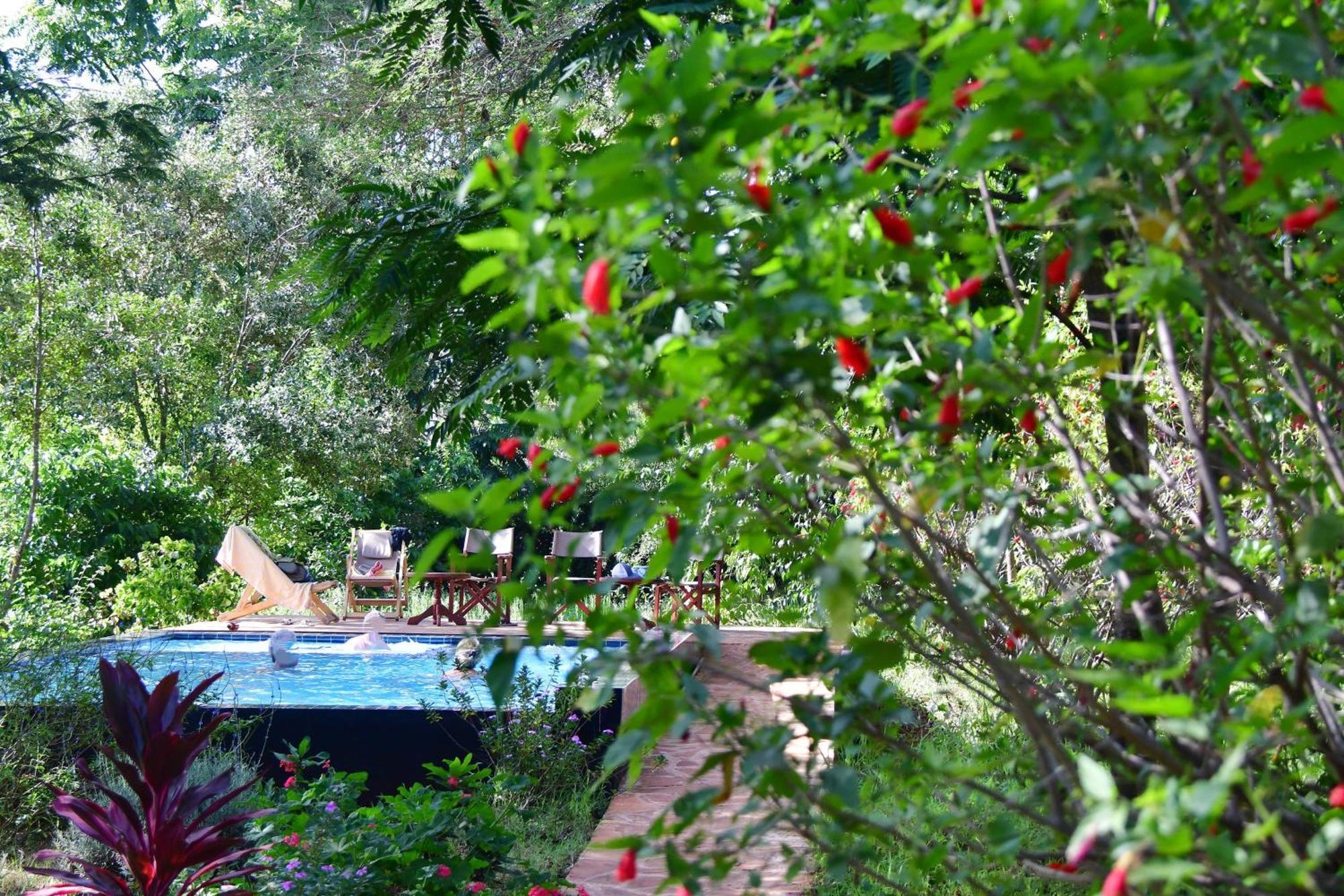 Tanzanice Farm Lodge Karatu Zewnętrze zdjęcie