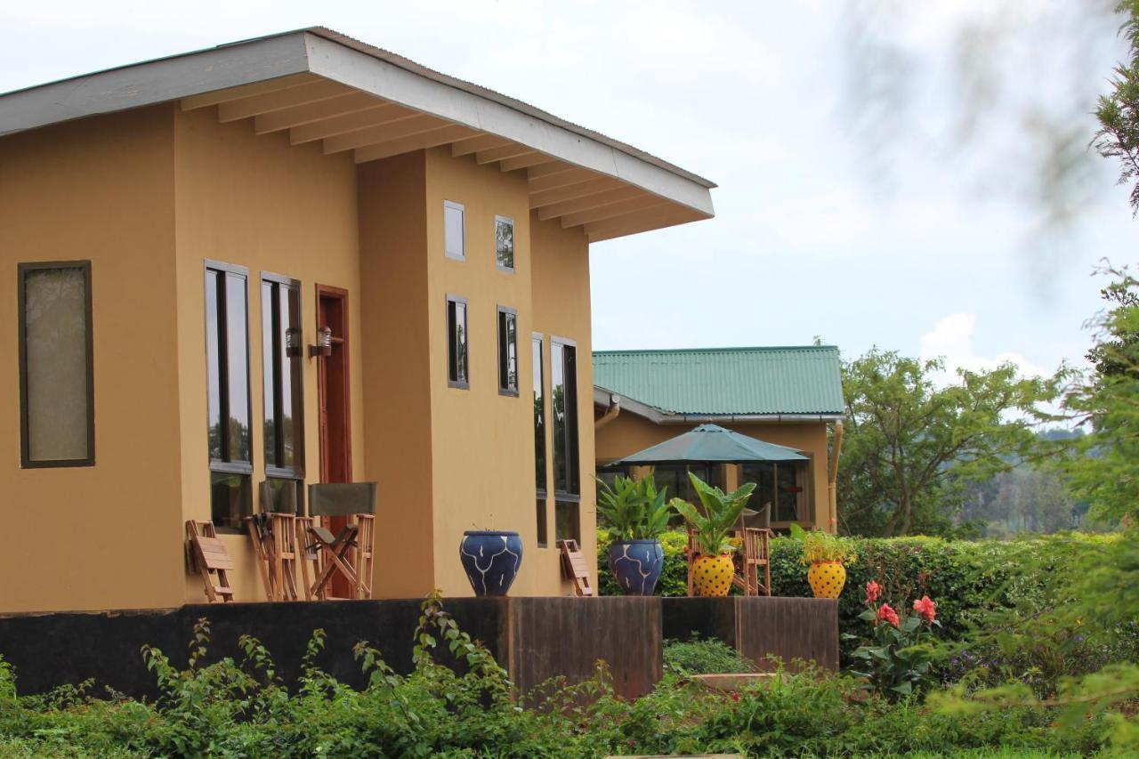 Tanzanice Farm Lodge Karatu Zewnętrze zdjęcie